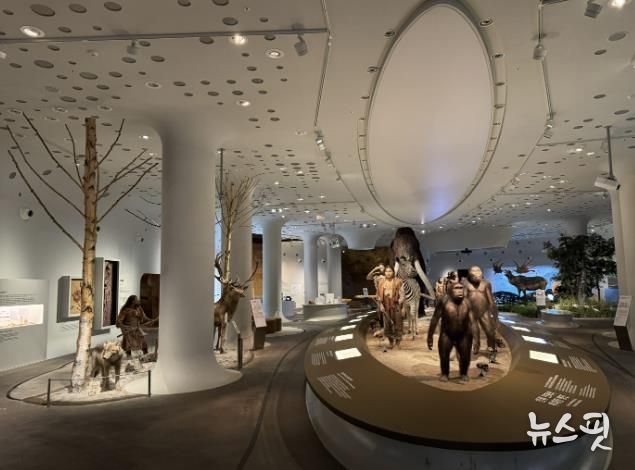 경기문화재단 전곡선사박물관, 상설전시실 전면 개편…42cm '초대형 주먹찌르개' 최초 공개