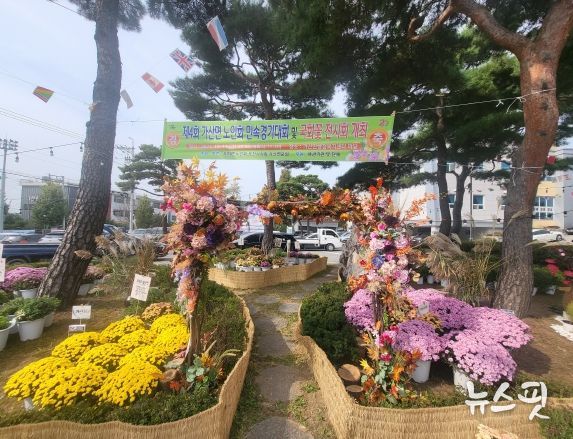 포천시 가산면 노인회, 제4회 민속경기대회 및 국화꽃 전시회 성황리 개최