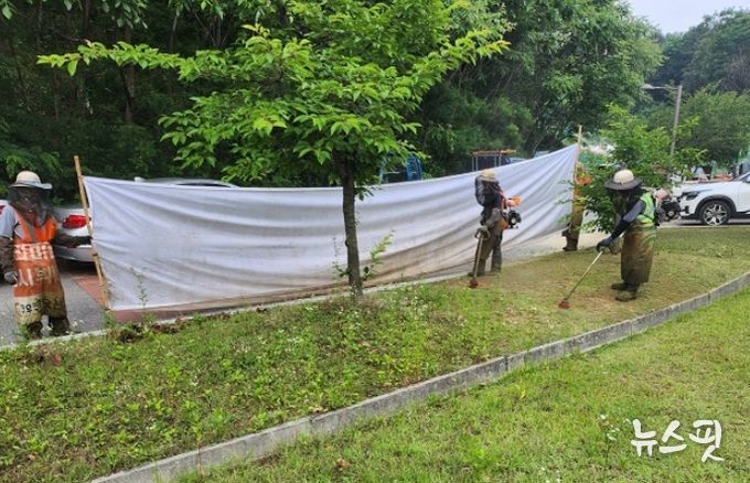 남양주시, 관내 도시공원·녹지 새단장 나서