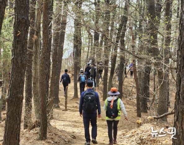 울창한 숲길이 이어지는 고봉누리길
