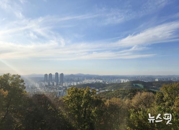 고봉산 전망대에서 보이는 풍경