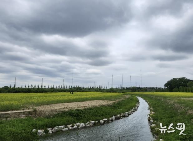 창릉천을 따라 걷는 강매석교 부근 행주누리길