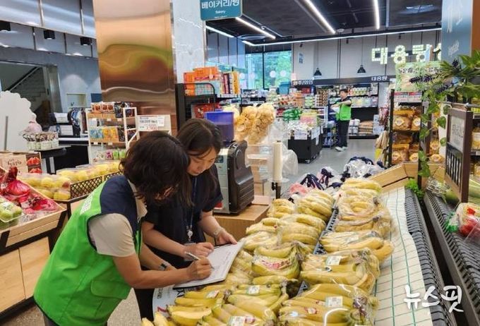 파주시, 추석 맞이 농축수산물 원산지 표시 점검 및 수산물 안전성 검사 실시