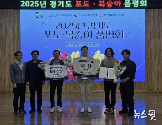 시흥시, 2025년 경기도 포도·복숭아 품평회서 3관왕 쾌거