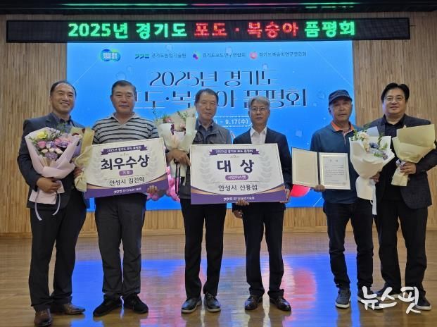 안성 포도, 경기도 포도·복숭아 품평회 대상 수상