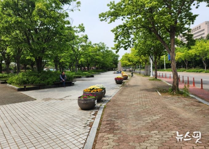 노후 경계 펜스 철거 후