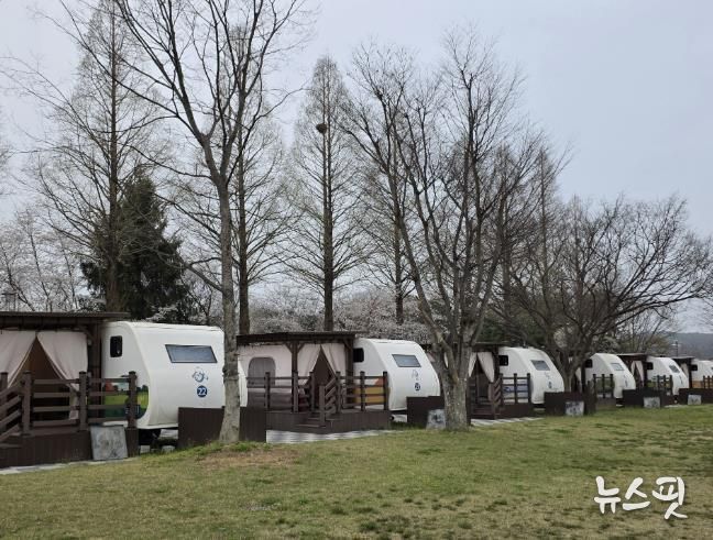 파주 공릉관광지 캠핑장 전경