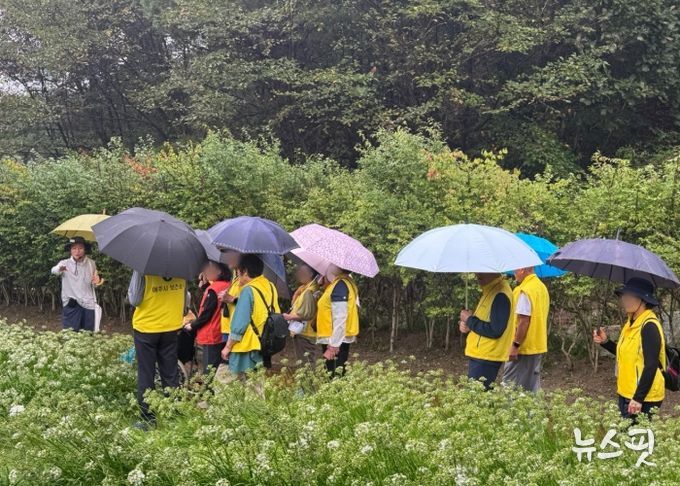 치매환자와 가족이 함께한 산림치유 프로그램 진행