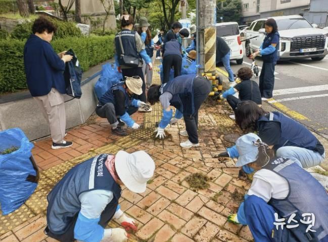 수원시 영통구 영통2동, 명절맞이 환경정비 실시