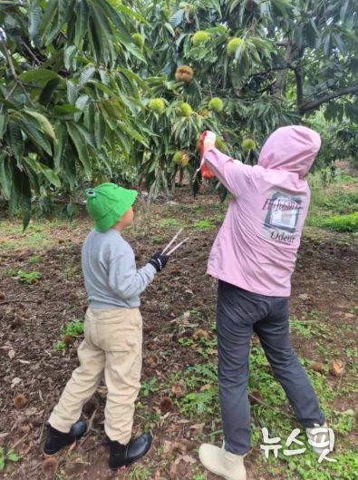 안양시, 드림스타트 가족 대상 ‘가을농장 가족데이’ 추진