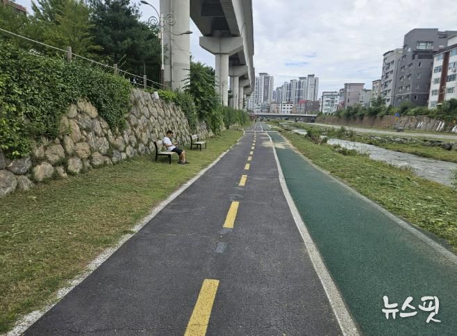 용인특례시 처인구가 하천 산책로 제초작업을 마무리했다.
