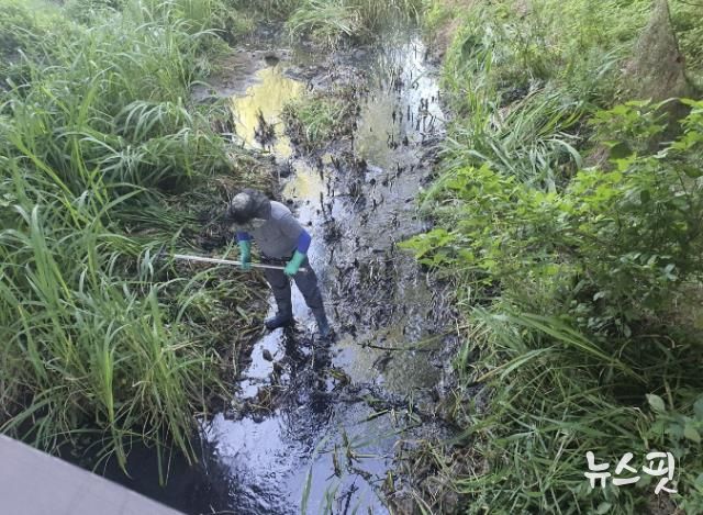 시흥시, 추석 연휴 환경오염 예방 특별환경감시반 운영