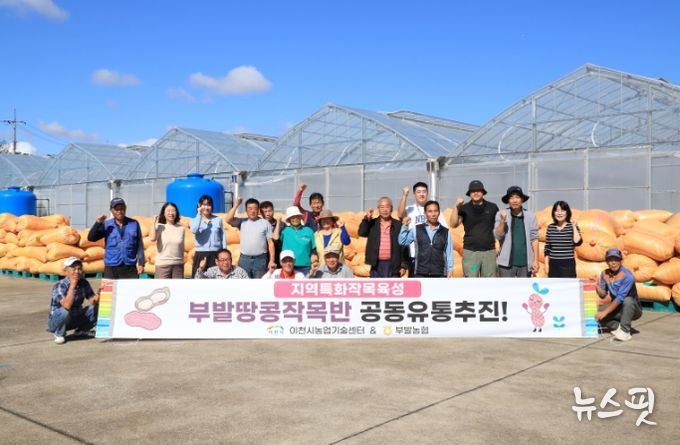 이천 부발땅콩, 첫 공동 유통 개시… 농가 소득 안정·지역경제 활력 기대