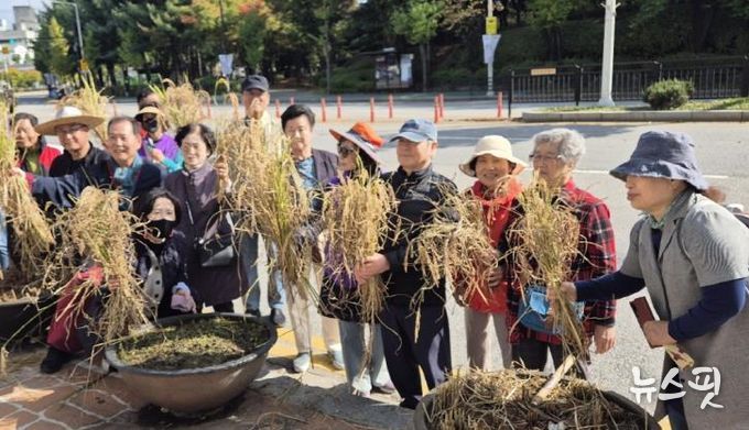 고양시 대화동 주민자치회, 주민과 함께한 '가와지 벼 수확 행사' 성료