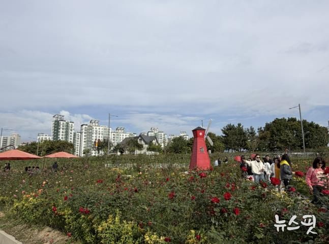 2025년 양주나리농원 가을 개장 성황리 종료