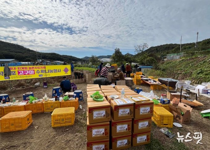 남양주시 농업인단체, 공동학습포 수확으로 ‘나눔의 농심’ 실천