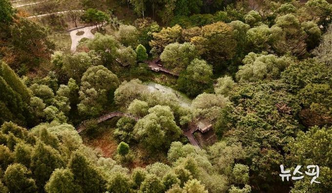 무장애 나눔길(물향기수목원)