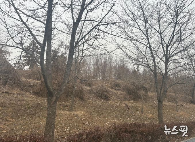 이천시, 2026년 도시숲리모델링사업 선정