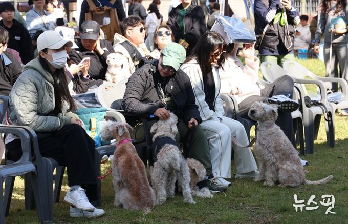 여러 종의 애견들이 주인들과 함께 휴식을 취하고 있다.(화성시 제공)
