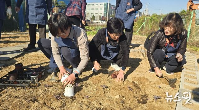 손바닥정원단과 시민들이 고색동 양묘장에서 제7회 수원 정원의 날 행사를 기념해 손바닥정원을 조성하고 있다.