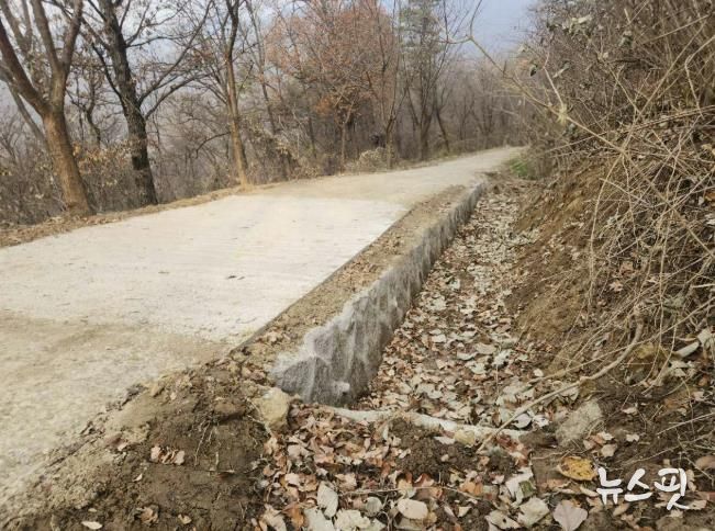 모현읍 왕산리 태교숲길 정비 완료 후 전경.(용인시 제공)