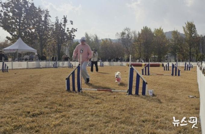 여주 강천섬 반려동반 힐링 프로그램, 반려가족 큰 호응 속 성공적 운영