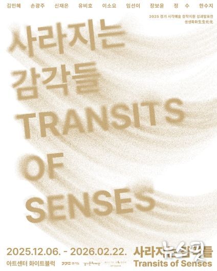 사라지는 감각들 포스터