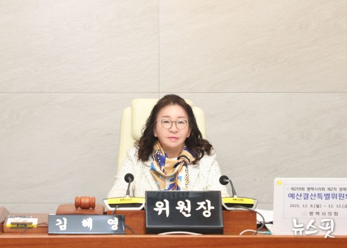 김혜영 예산결산특별위원장
