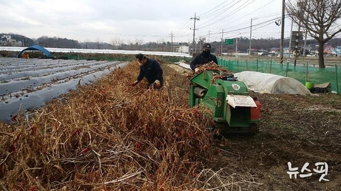 파주시,“영농 부산물 태우지 말고 파쇄하세요!”