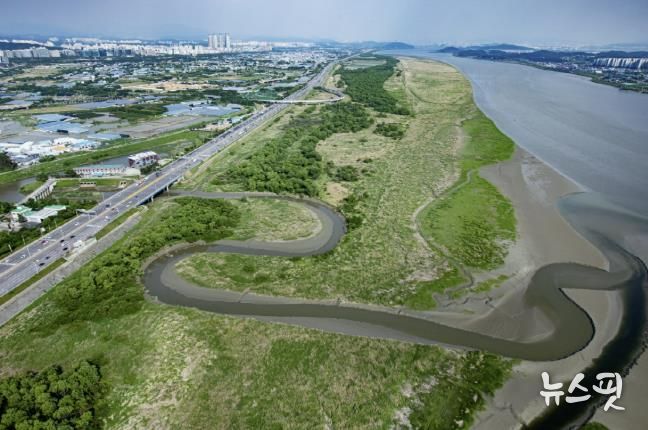 람사르 고양장항습지 전경