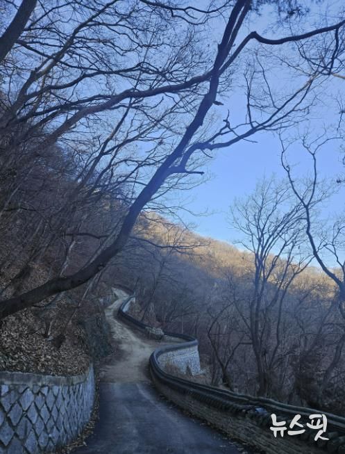 용인특례시가 석성산 숲길 정비사업을 진행한 현장 모습.(용인시 제공)