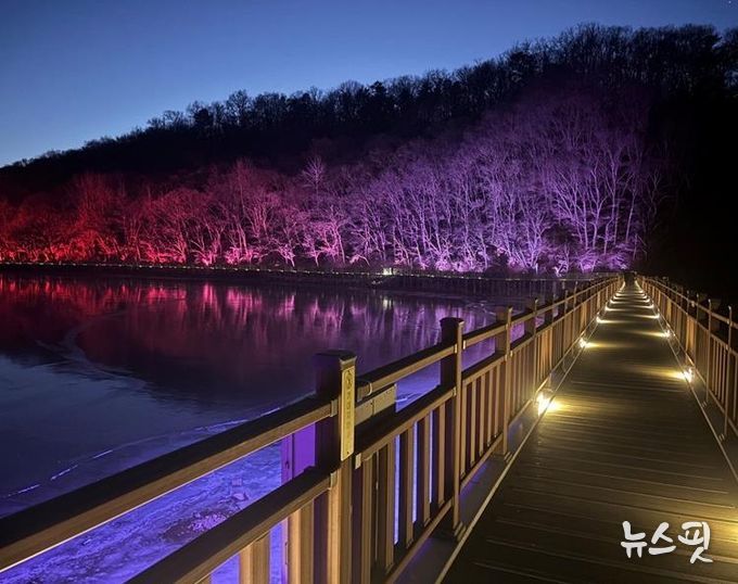 빛으로 새롭게 태어난 파주 공릉호수, 야간 명소로 거듭나다!