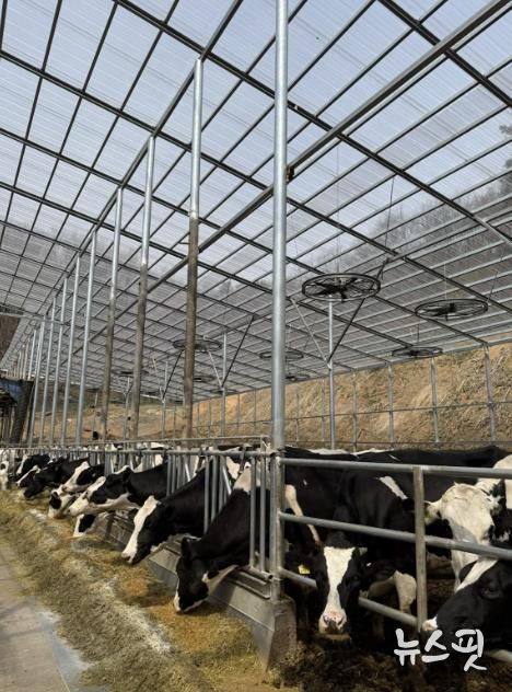 용인트례시가 '2026년 축산분야 생산지원사업' 희망 농가를 모집한다