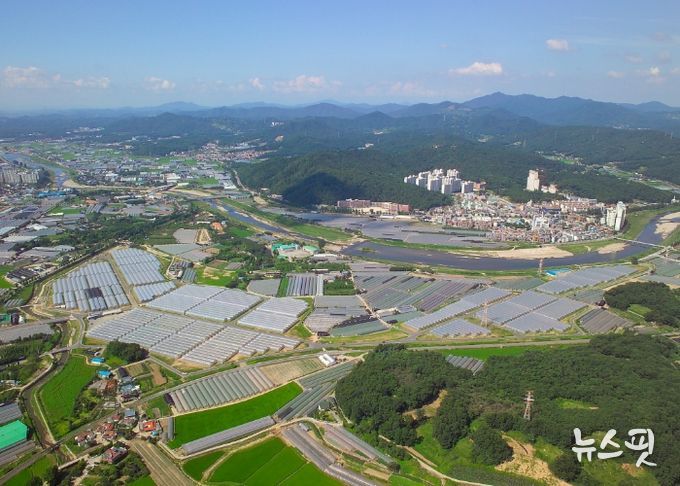 원당화훼단지 전경