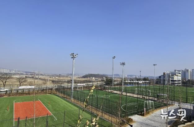 풋살장 전경