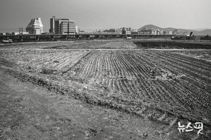 1995년도 고잔뜰 전경, 현재는 고잔신도시가 조성되어 아파트 단지로 변모했다.