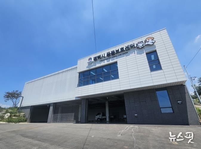 평택시 동물보호센터, 입양 상담 주 6일 확대 운영