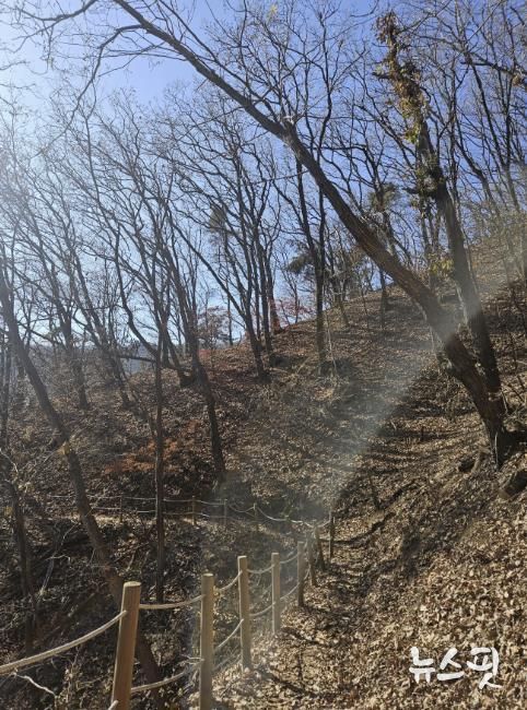 용인특례시가 추진한 광교산둘레길 2차사업 대상지 모습