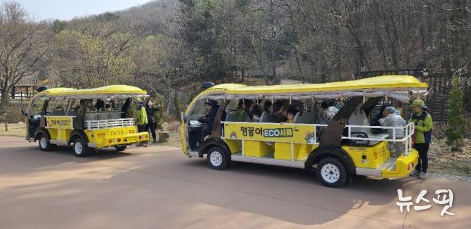 맹꽁이 에코셔틀