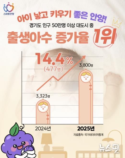 안양시 출생아수 증가율 경기도 인구 50만명 이상 대도시 1위 카드 이미지