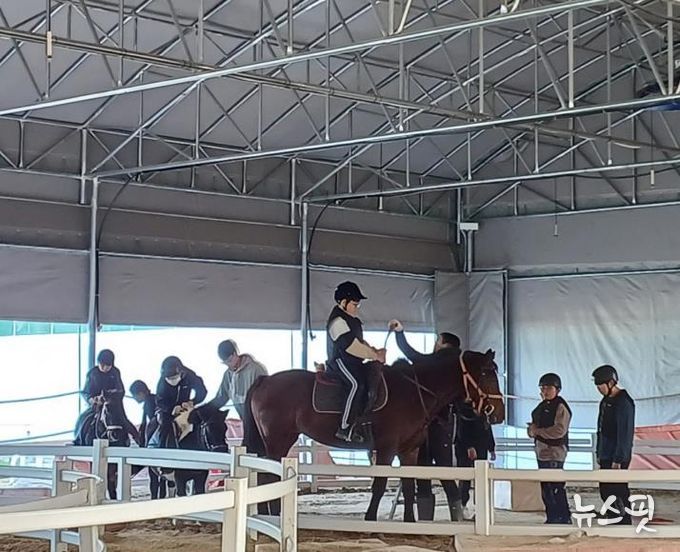 안성시 학생승마체험 지원사업 모집…청소년 체력·정서 함양