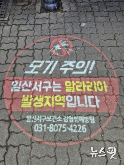 로고라이트 ‘일산서구는 말라리아 발생지역입니다’ 문구 송출