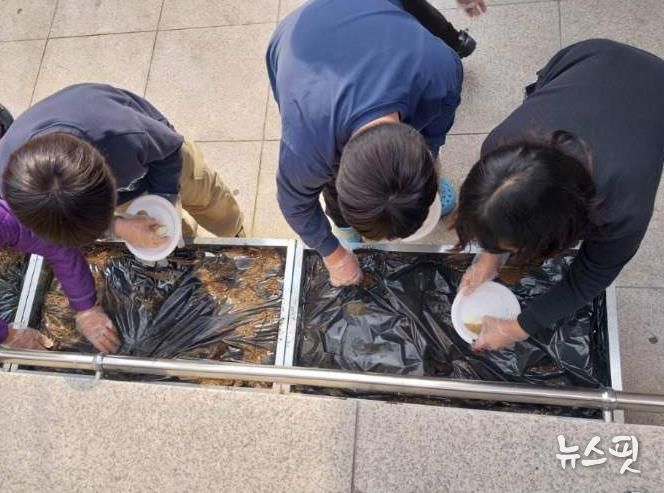 수원시 장안구 조원1동 새마을문고, 어린이 감자 재배 체험 프로그램 운영