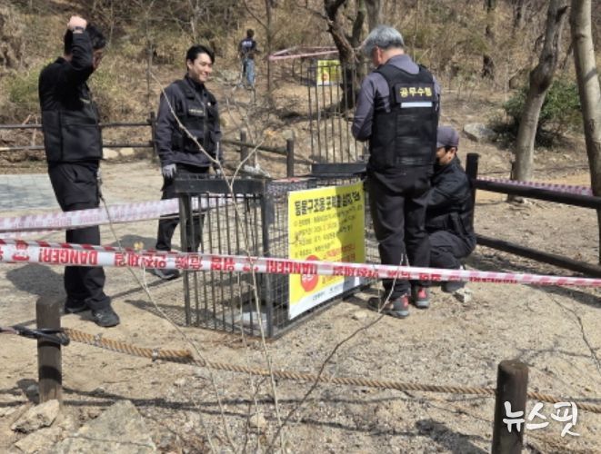 고양시, 북한산 내 유기동물 ‘동물친화적 집중구조’실시