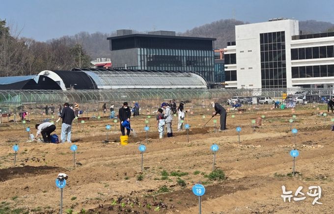 광명시 하안동 밤일마을에 자리한 시민주말농장에서 시민들이 땅을 가꾸고 있다.