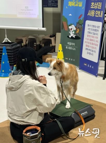 댕댕체육교실 중 독피트니스 프로그램을 진행하는 모습