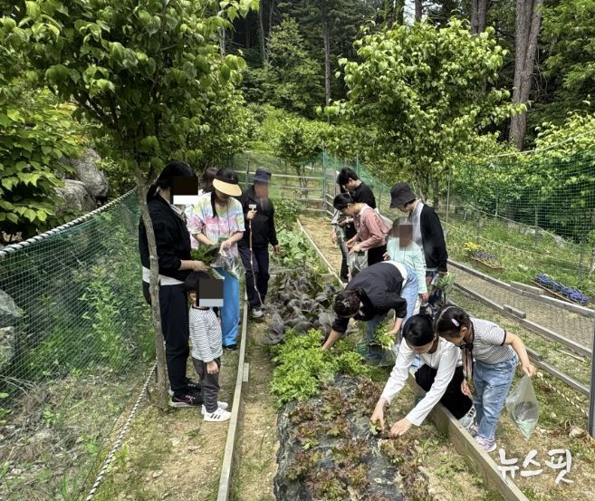 가평군 ‘숲의 약속’, 가족 힐링캠프 선착순 모집