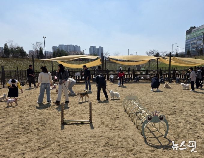 평택시 동삭동 '슬기로운 펫티켓 생활 및 동행' 프로그램 추진으로 반려 문화 인식 제고 기대