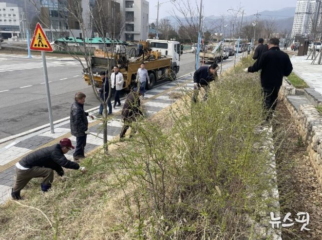 가평 청평면, 식목일 기념 나무 심고 환경정비