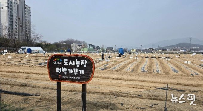 대한노인회 이천시지회, 도시농장텃밭가꾸기사업 시민 텃밭 분양‘성황리 마감’